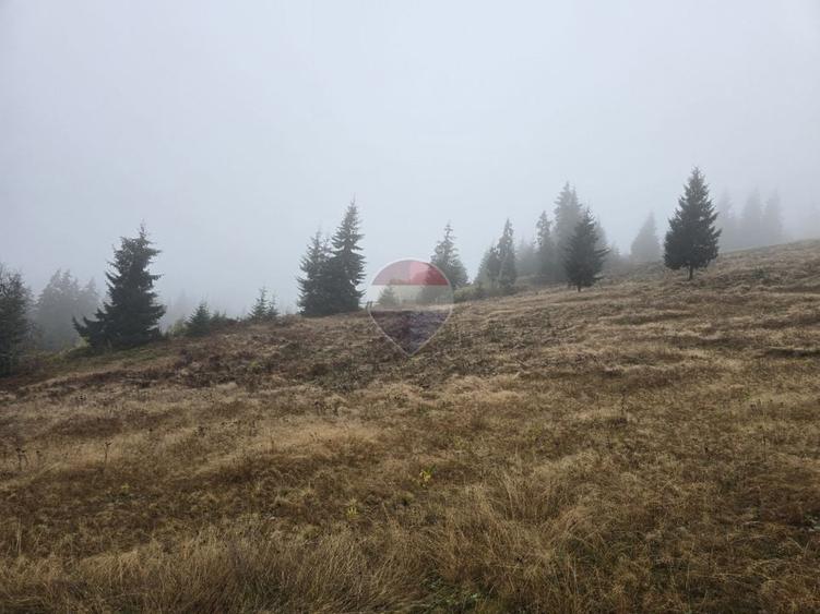Teren agricol extravilan de 20894 mp, în Central