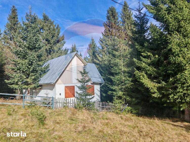 Cabana de vanzare in Muntele Bai?orii Zona Jera - 18