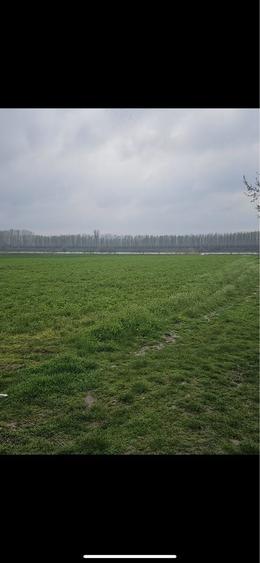 Spațiu comercial, în Dichiseni