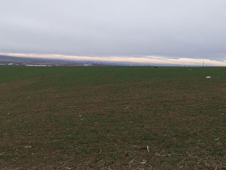 Teren agricol intravilan în Periferie