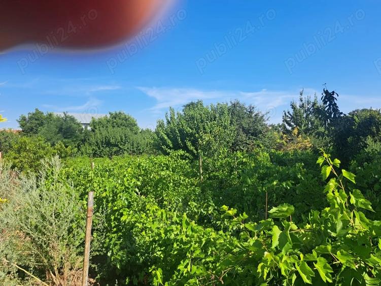Casă cu Teren 1300 Mp în Chiscani