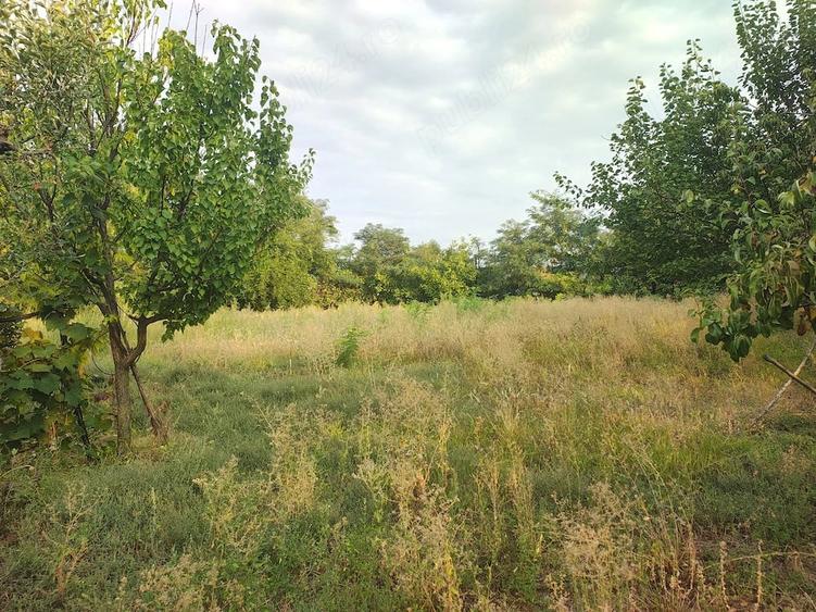 Casă cu 3 camere cu Teren 2600 Mp în Coasta Lupei