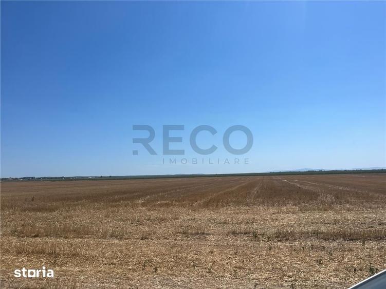RECO Teren extravilan Ucuris- Olcea 44 000 mp - 4