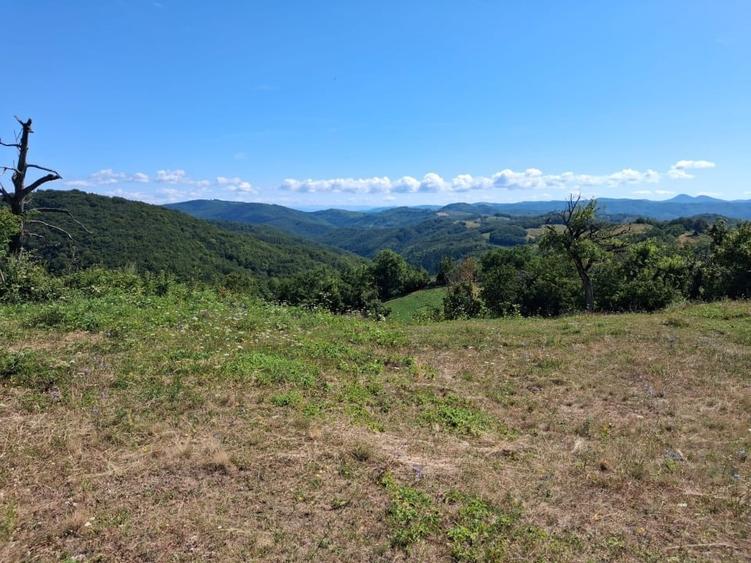 Teren Construcții intravilan de 3625 mp, în Ravensca