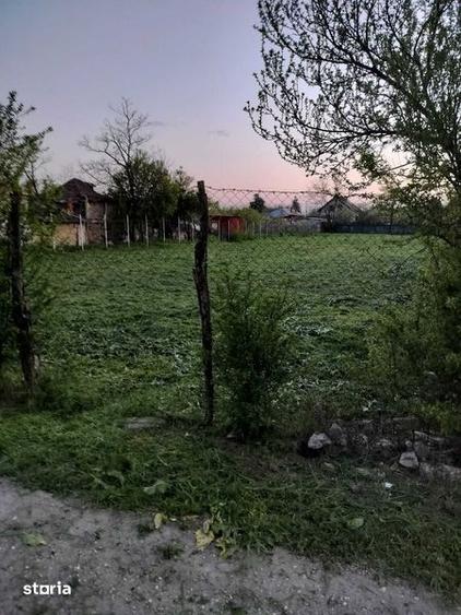 Teren intravilan 1470mp la 25 km de Bucuresti - 4