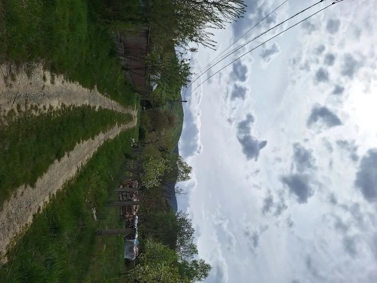 Teren de 800 mp, în Viștișoara