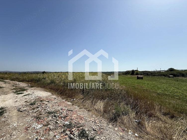 Teren de 5800 mp, în Jucu