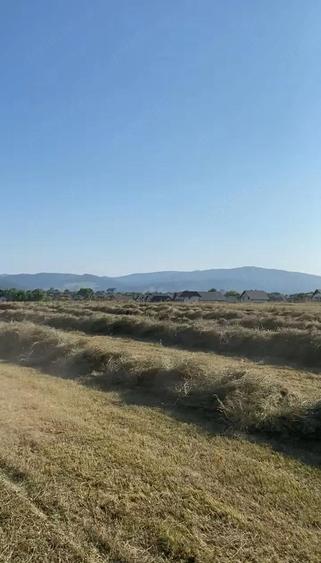 Teren de 8600 mp, în Vicovu de Sus