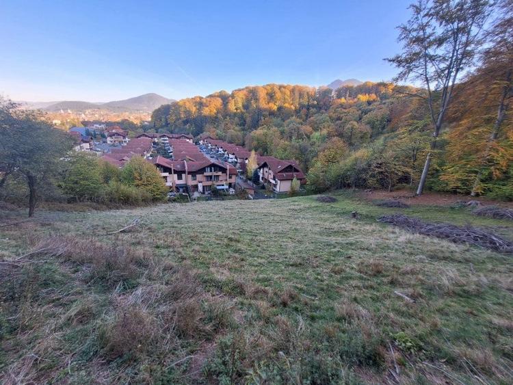 Teren Construcții intravilan de 2900 mp, în Dârste