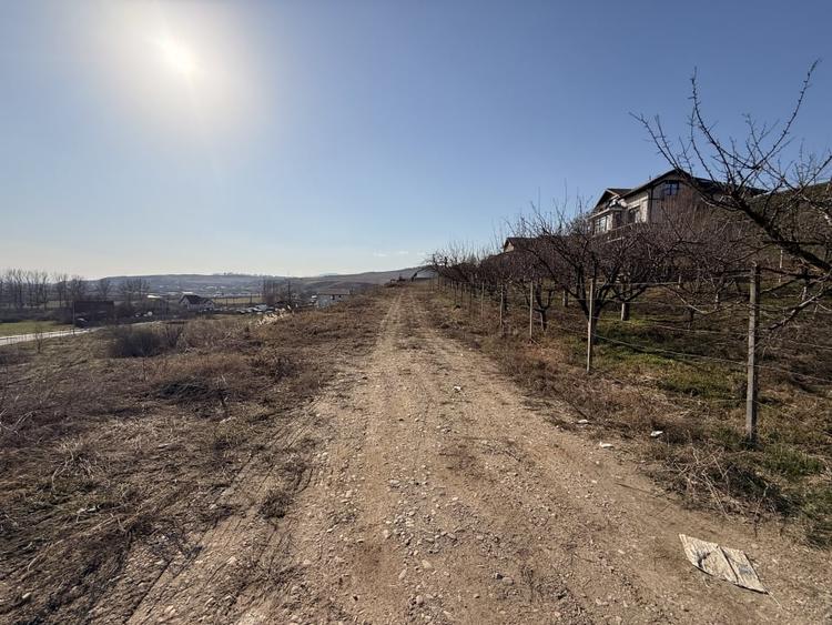 Teren Construcții intravilan de 5600 mp, în Cetate