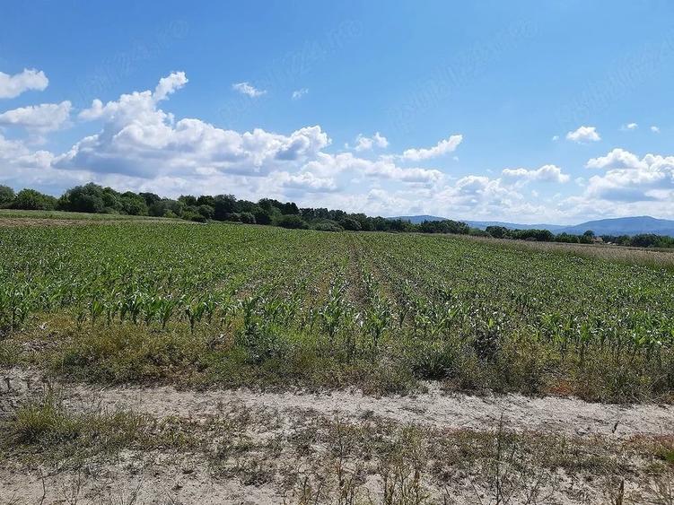 Teren de 20300 mp, în Lunca Calnicului