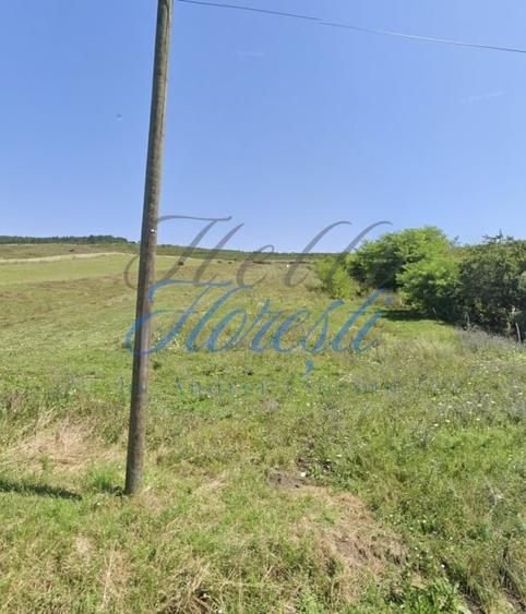 Teren Construcții intravilan de 5000 mp, în Aluniș
