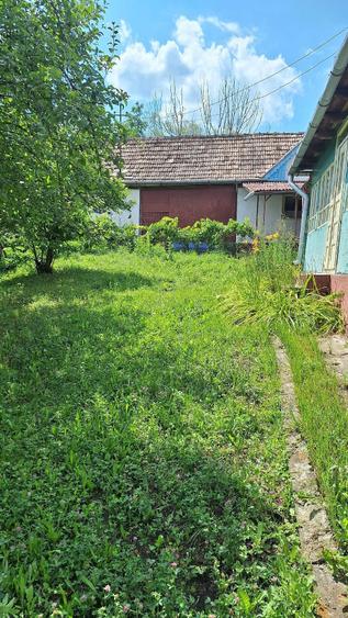Casă cu 2 camere cu Teren 6000 Mp în Tioltiur
