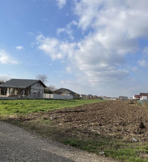 Teren Construcții intravilan de 1800 mp, în Sud