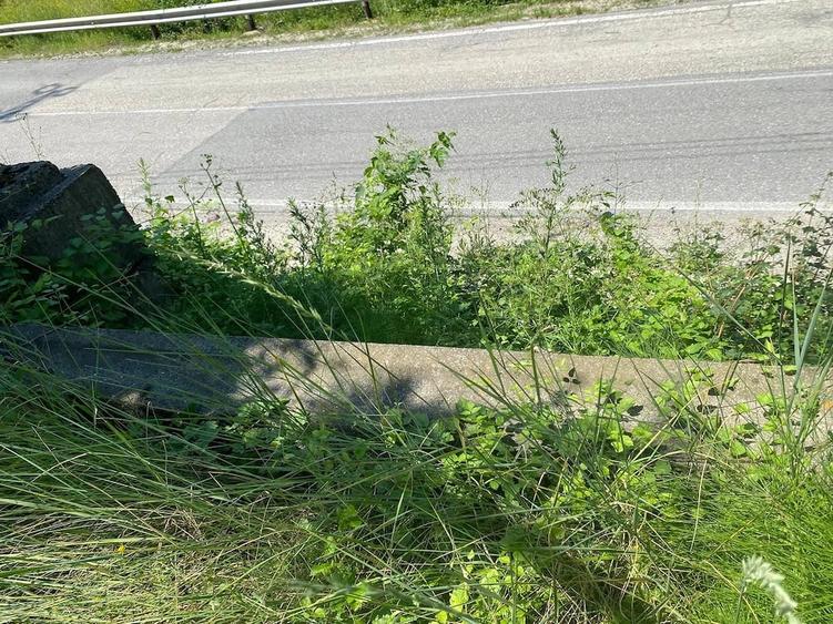 Teren de 4074 mp, în Domnești