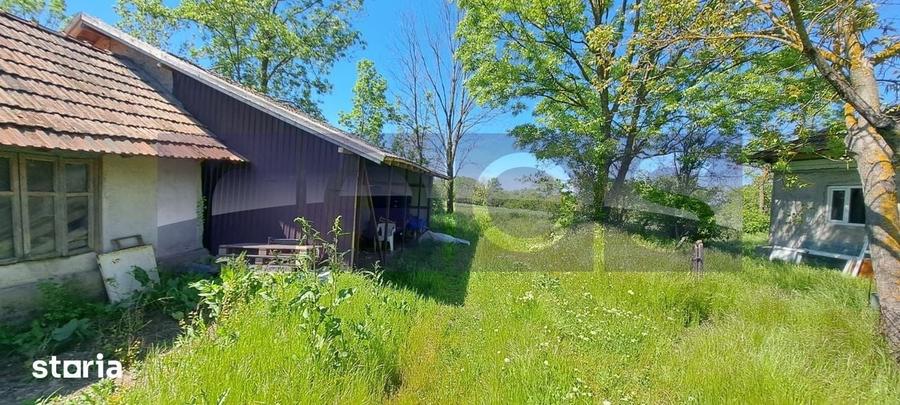 CASA TARANEASCA | TEREN 3000 MP | DESCHIDERE 52 M | COMUNA CIOLANESTI - 3
