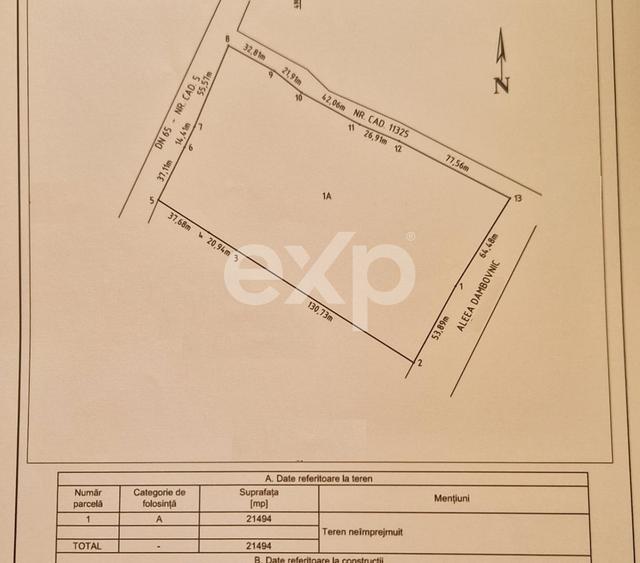 Teren Construcții intravilan de 11600 mp, în Exterior Sud