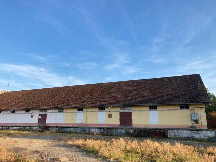 Spațiu comercial, de 1,050 mp, în Glimboca