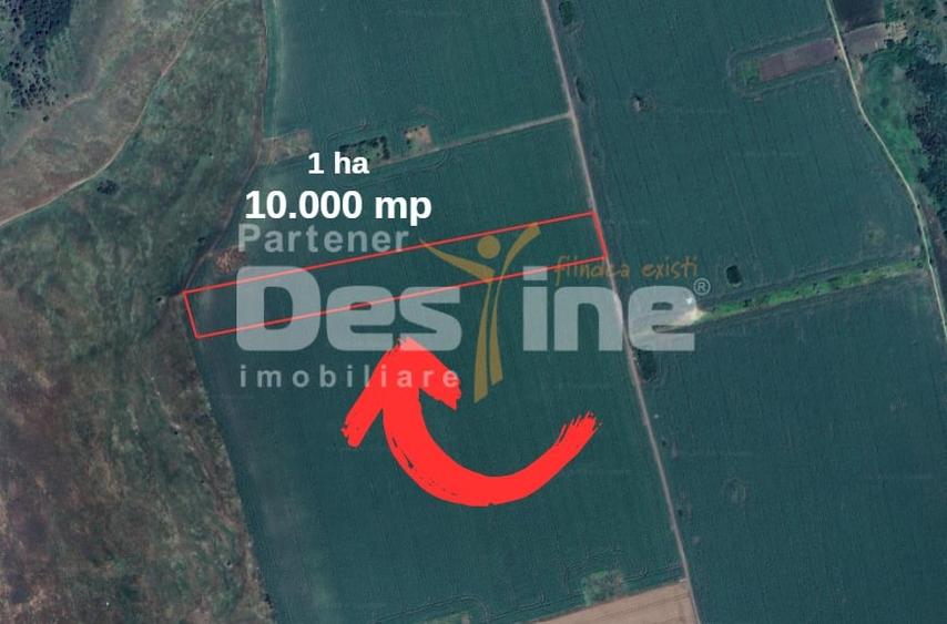 Teren agricol extravilan de 10000 mp, în Valea Lupului