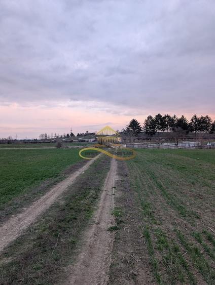 Teren agricol intravilan de 7774 mp, în Lilieci