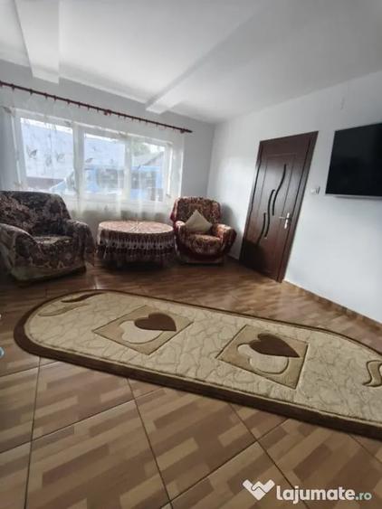 Casă cu 4 camere cu Teren 6000 Mp în Negostina