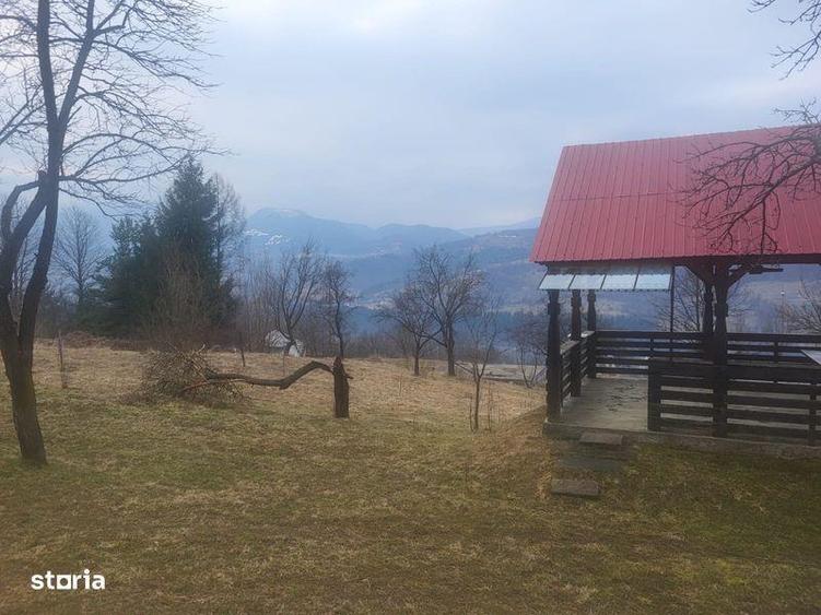 Teren de 5976 mp, în Moisei