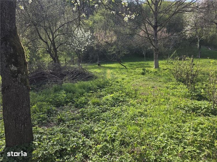 Casă cu 3 camere cu Teren 3748 Mp în Nădrag