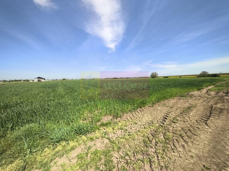 Teren Construcții intravilan de 2200 mp, în Dărăști-Ilfov