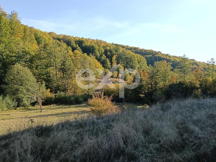 Teren Construcții extravilan de 3700 mp, în Vulturești