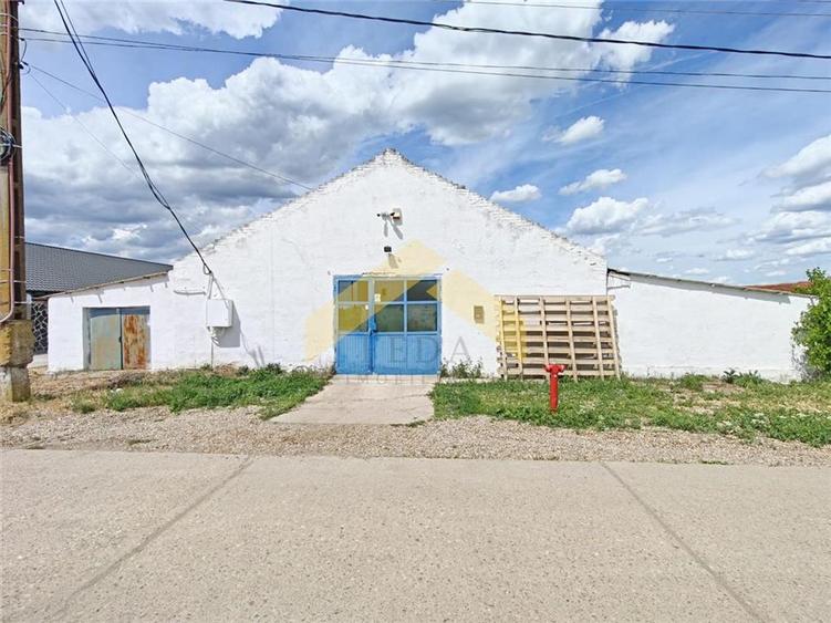 Spațiu industrial, de 750 mp, în Șofronea