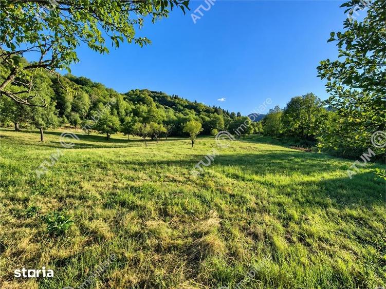 Teren de 1200 mp, în Central