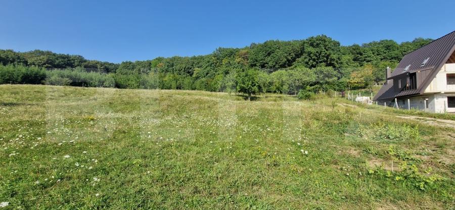 Teren Construcții extravilan de 10000 mp, în Sud-Est