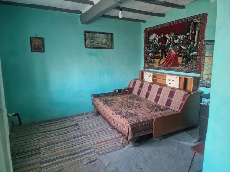 Casă cu Teren 3000 Mp în Dăeni