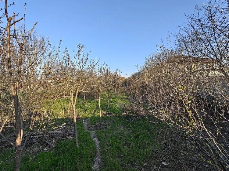 Teren de 600 mp, în Bucov