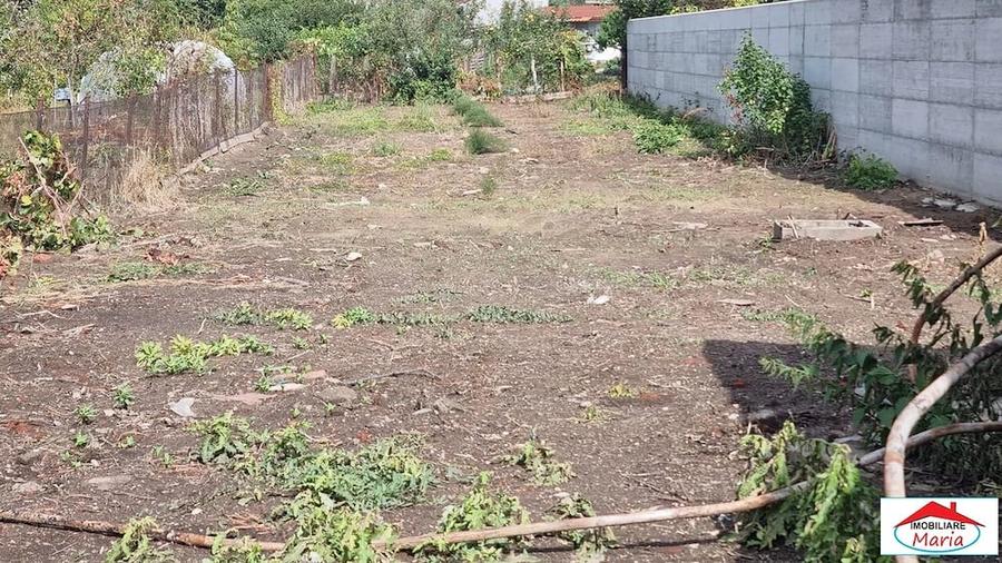 Casă cu 3 camere în Titulescu