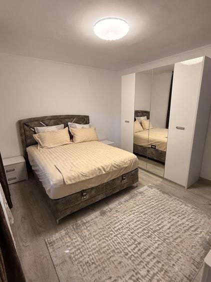Apartament cu 2 camere de inchiriat Brosteni - 8