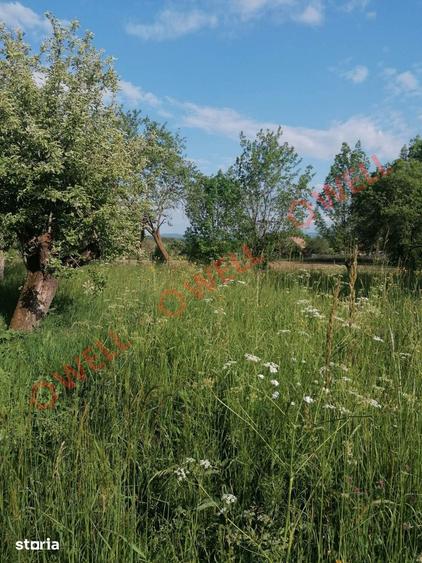 Teren de 8079 mp, în Estelnic