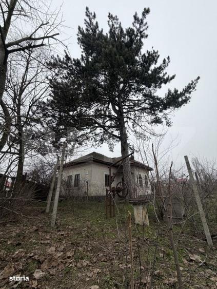 Casă cu 3 camere în Căciulătești