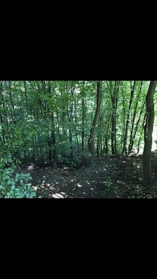 Teren de 14523 mp, în Văleni-Dâmbovița