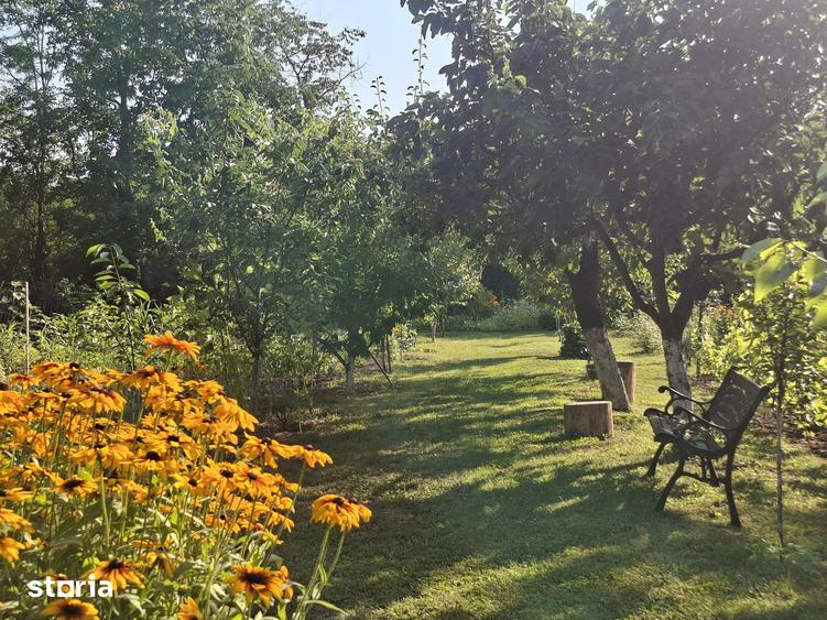 Casa cu Pini. Un refugiu in culoarea naturii. - 12