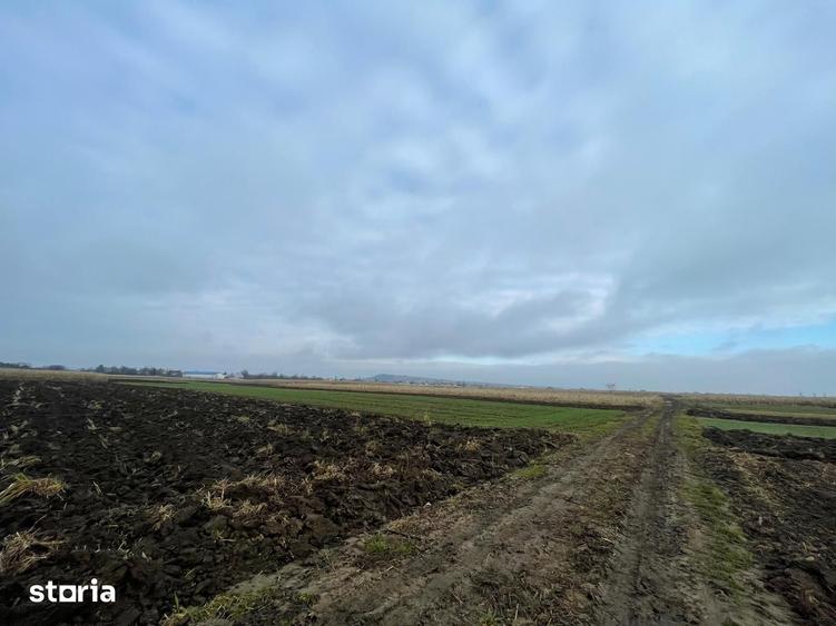 Teren de 1300 mp, în Marginea