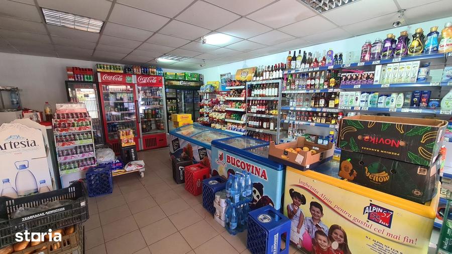 Casă cu Teren 802 Mp în Merișani
