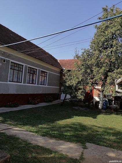 Casă cu 4 camere cu Teren 6000 Mp în Nicolae Bălcescu