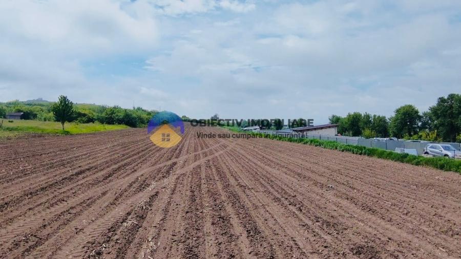 Teren intravilan de 12300 mp, în Cârligi
