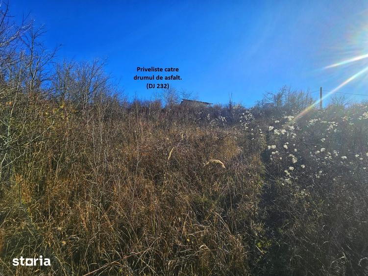 Teren intravilan 2.000 mp Seciu, 2 deschideri, Priveli?te panoramica - 11