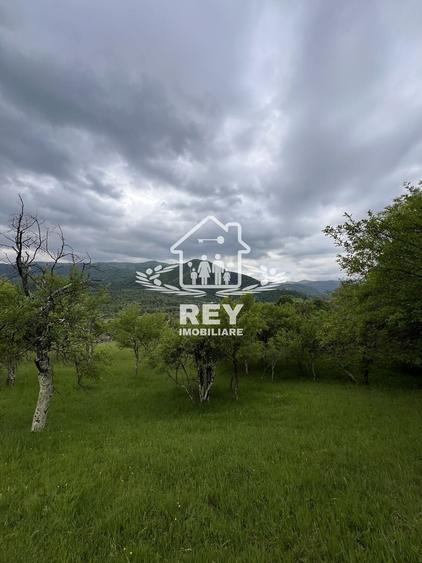 Teren Construcții intravilan de 5217 mp, în Cisnădioara