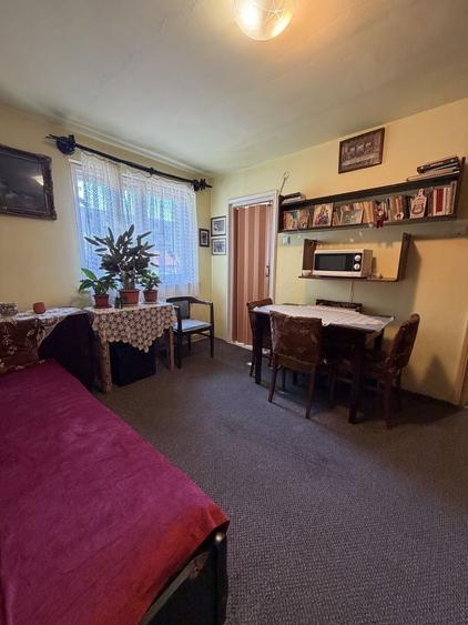Apartament cu 2 camere semidecomandat în Dosu Bricii