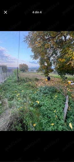 Casă cu Teren 2300 Mp în Petrești