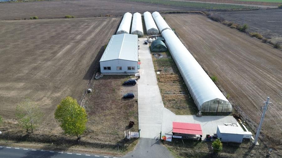 Spațiu industrial, de 7,000 mp, în Micălaca