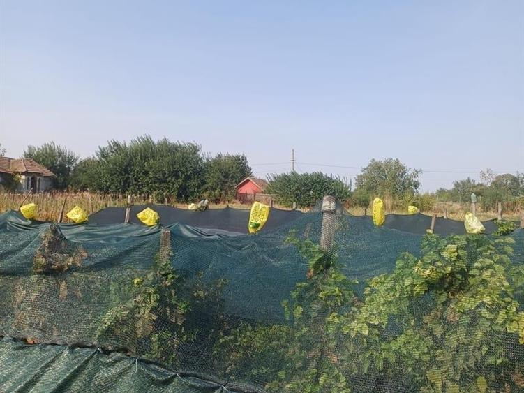 Casă individuală cu 4 camere cu Teren 3000 Mp în Moțăței-Gară